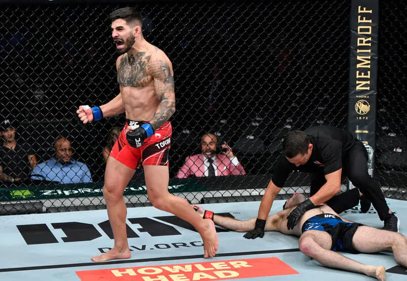 Submissions in Key Fights