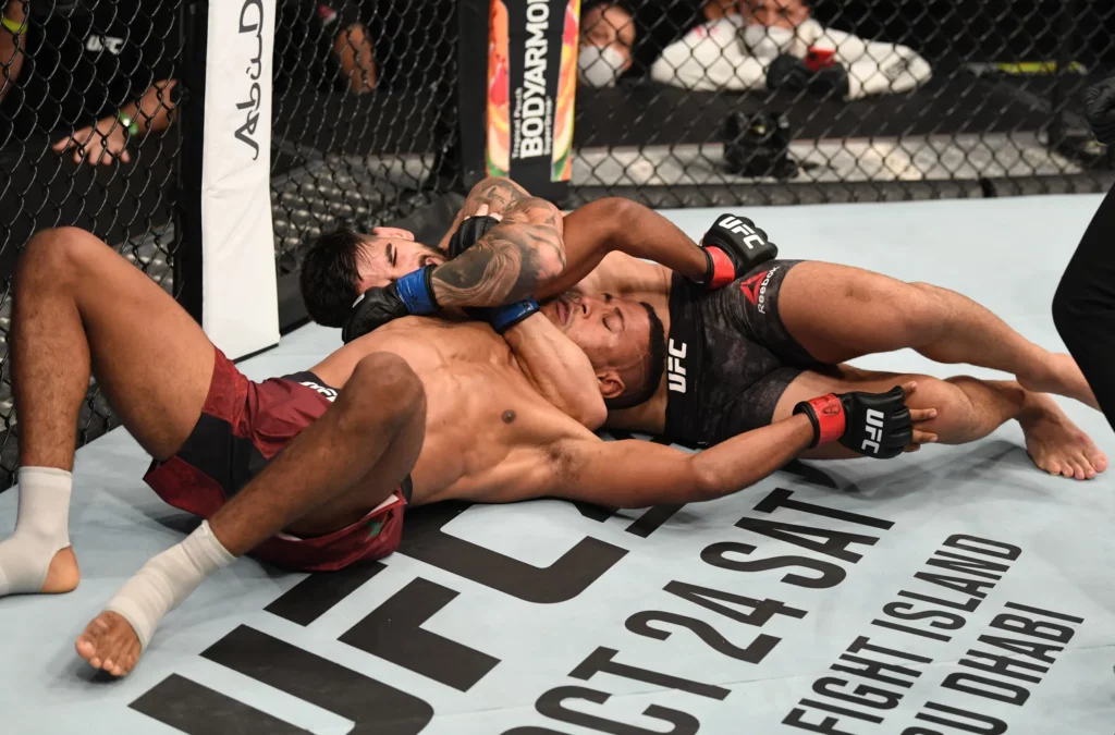 Ground Game and Submission Skills in UFC Fights