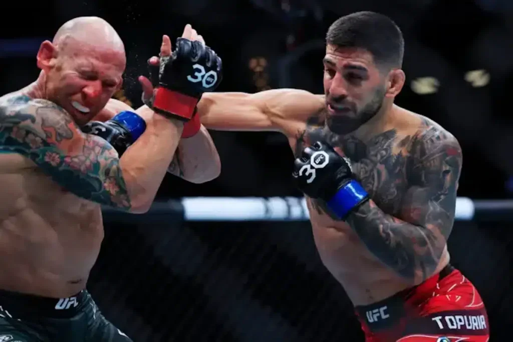 Potential for Future Title Fights
